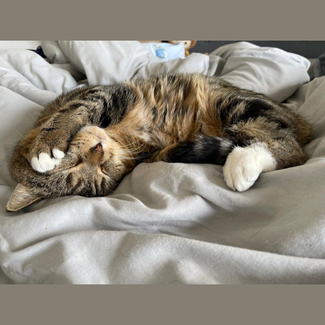 Photo of Bryant Russelton