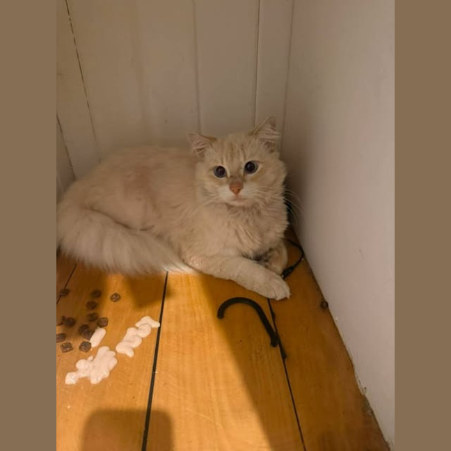 Photo of Roger
