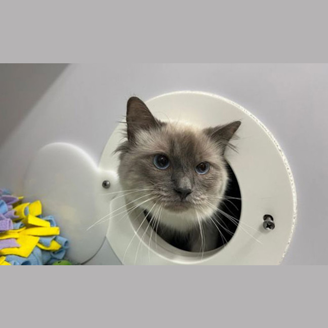 Photo of Monty