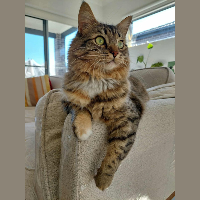 Photo of Jupiter 🩷