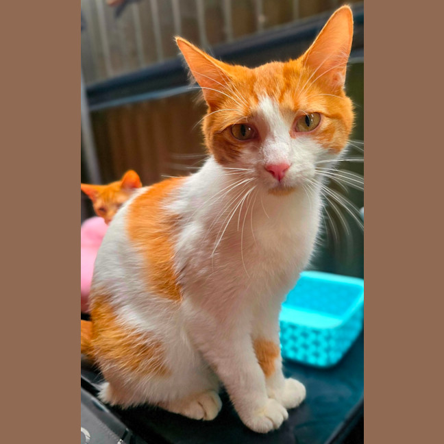 Photo of Butters
