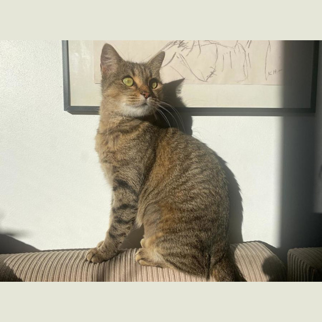 Photo of Tora