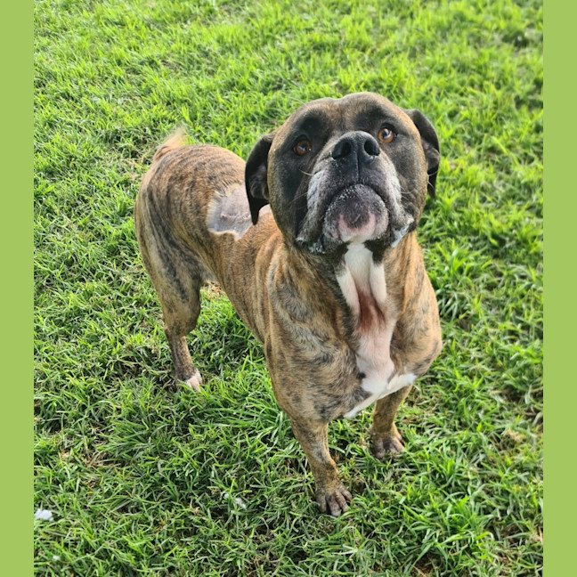 Photo of Cash