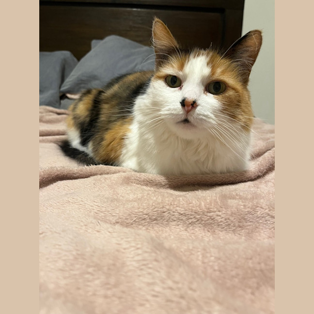 Photo of Miss Sassy Pants