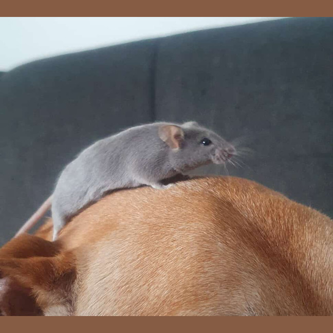 Photo of Vander / Ekko