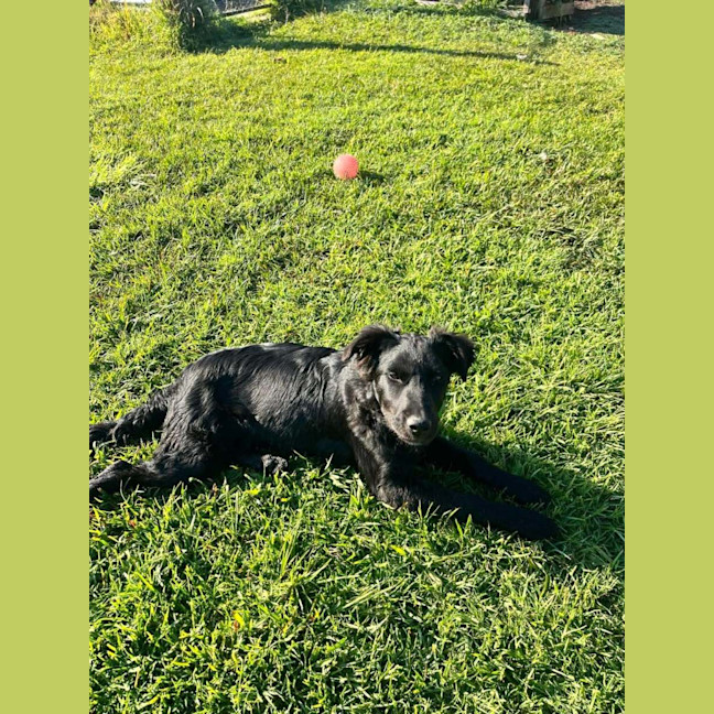 Photo of Benny