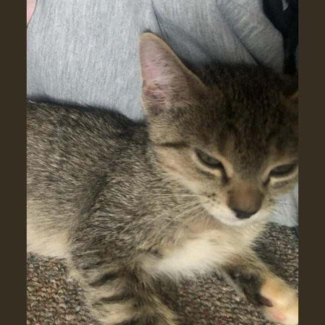 Photo of Roxy