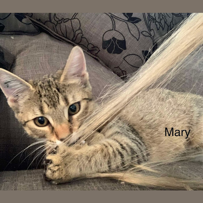 Photo of Mary 