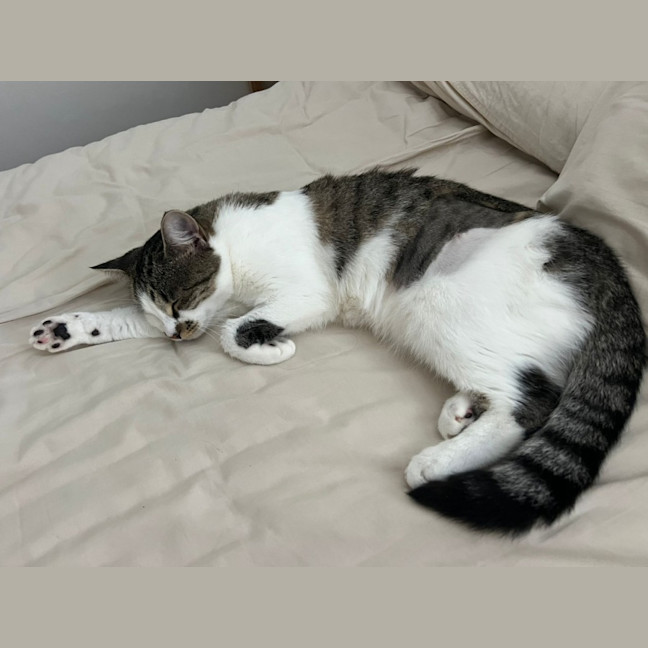Photo of Charlee