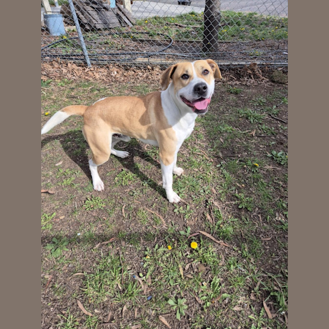 Photo of Butters! 🧈💛