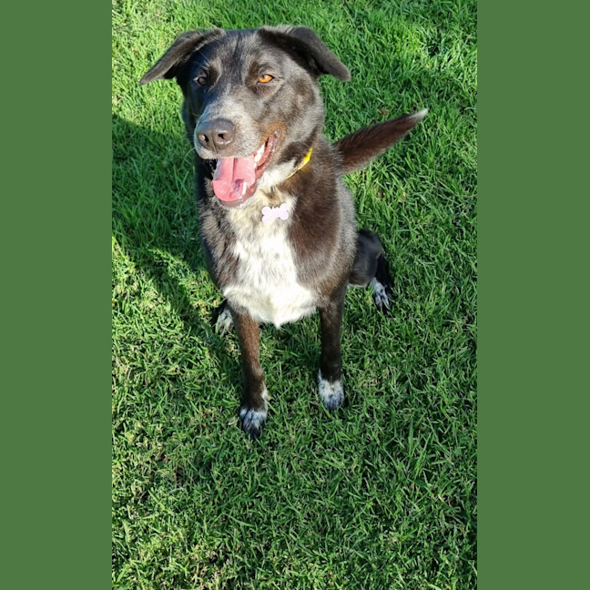 Photo of Tonks