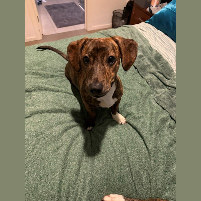 Photo of Willow Cervantes