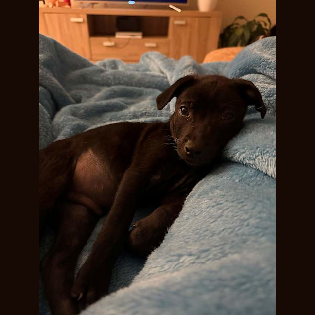 Photo of Benny