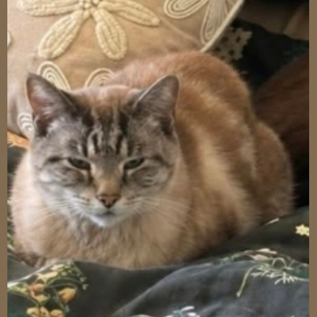 Photo of Max