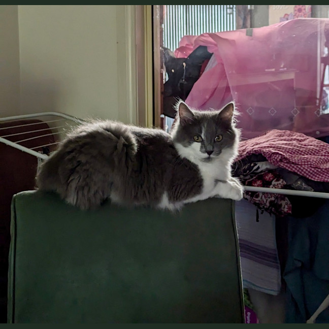 Photo of Kit Kat