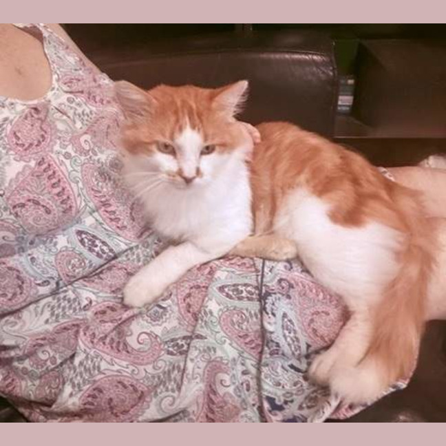 Photo of Nacho