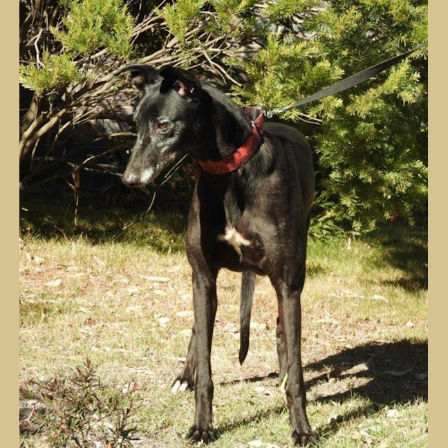 Photo of Heidi