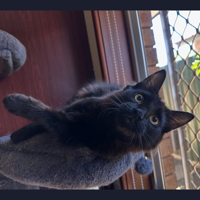 Photo of Mo
