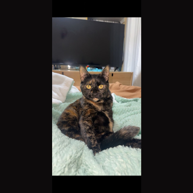 Photo of Trixie