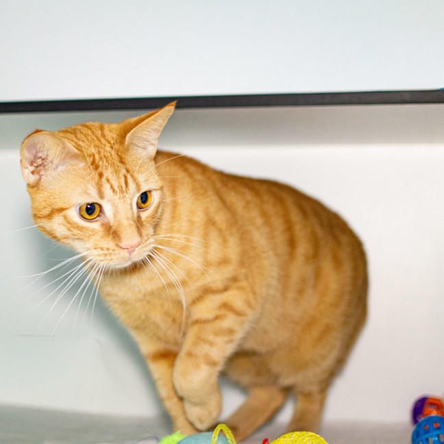 Photo of Monty