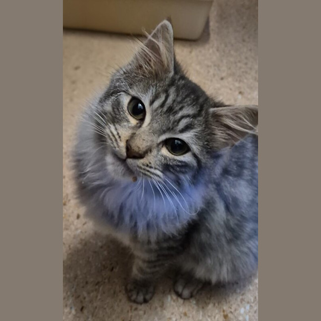 Photo of Titus