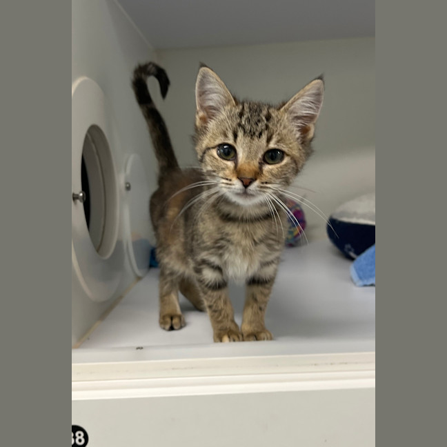 Photo of Lacie