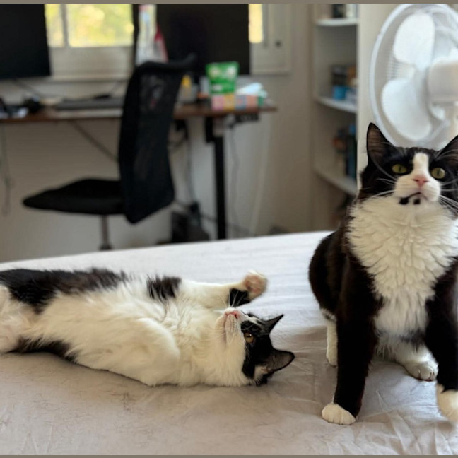 Photo of Felix & Rosie
