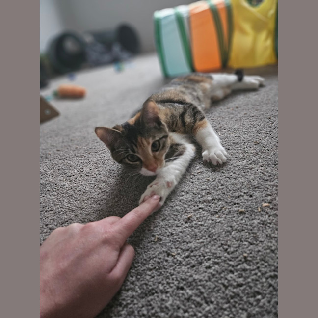 Photo of Sophie