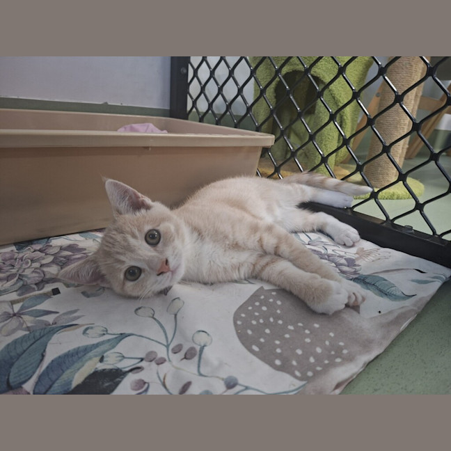 Photo of Sunny