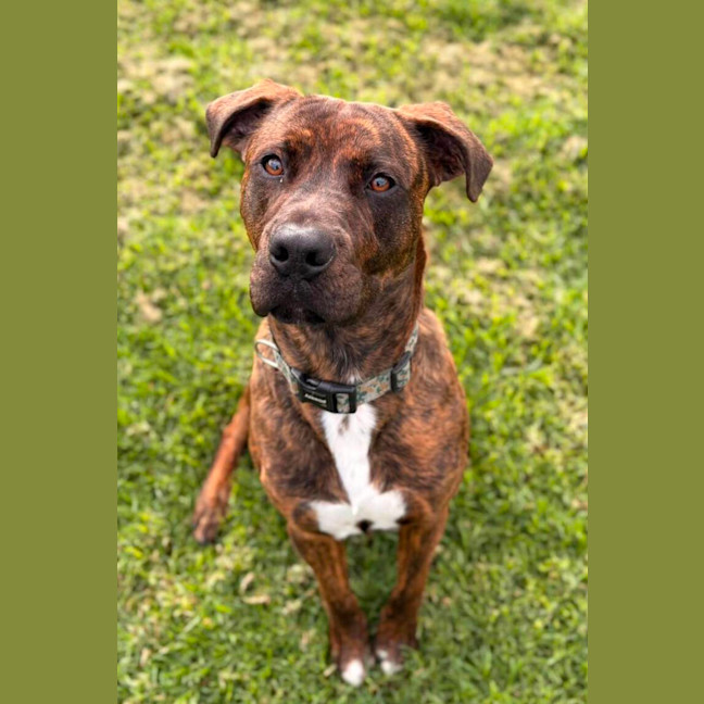 Photo of Taco