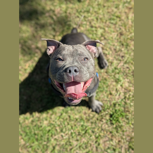 Photo of Bonnie
