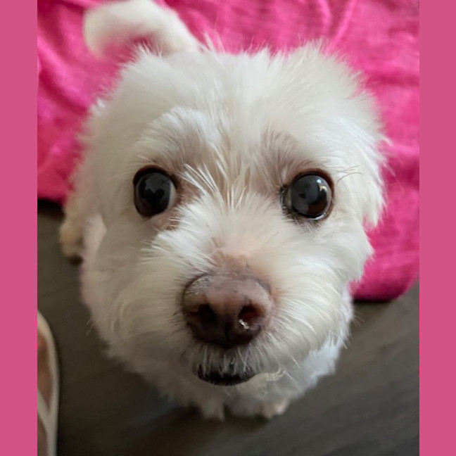 Photo of Mollyrose🌹