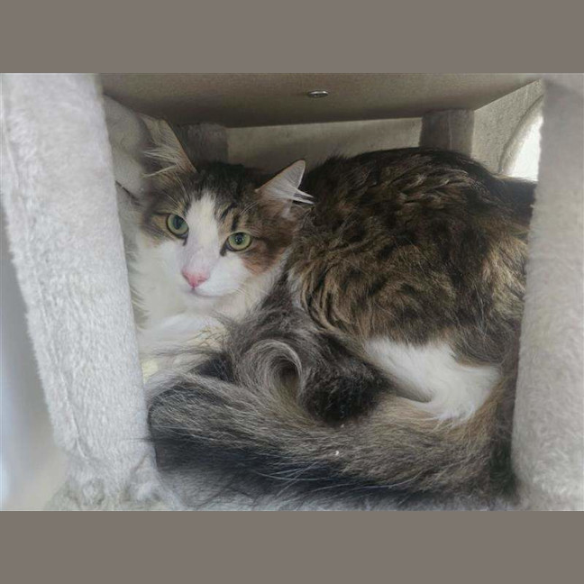 Photo of Two