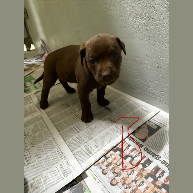 Photo of Vincent Graham