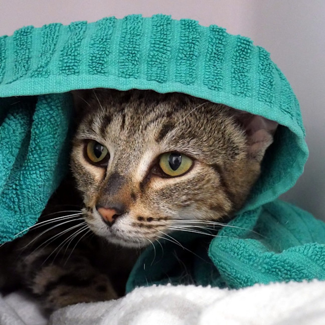 Photo of Zara Sua014377