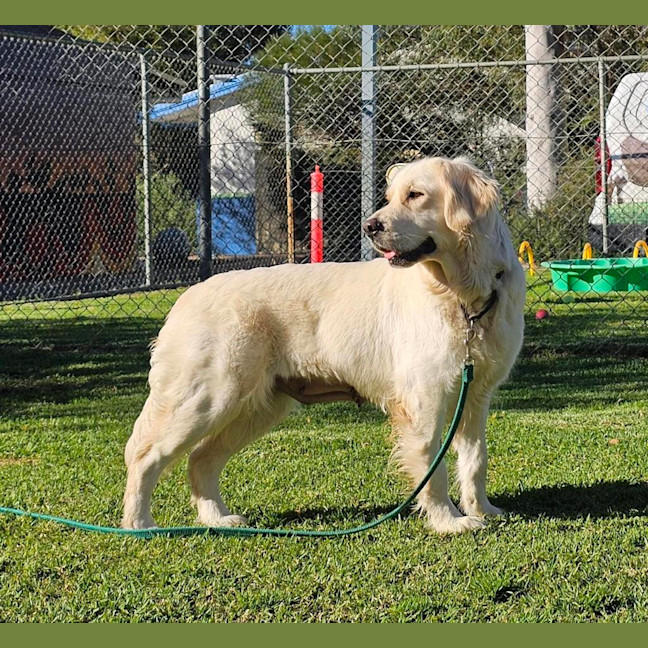 Photo of Missy