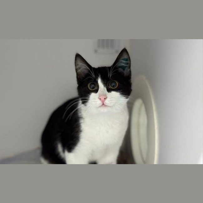 Photo of Monty