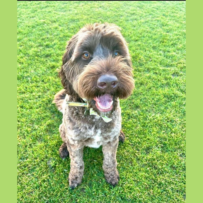 Photo of Murphy 