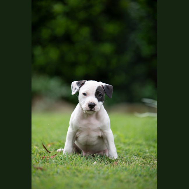 Photo of Rookie
