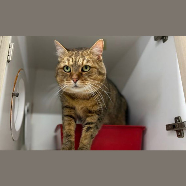 Photo of Maisy