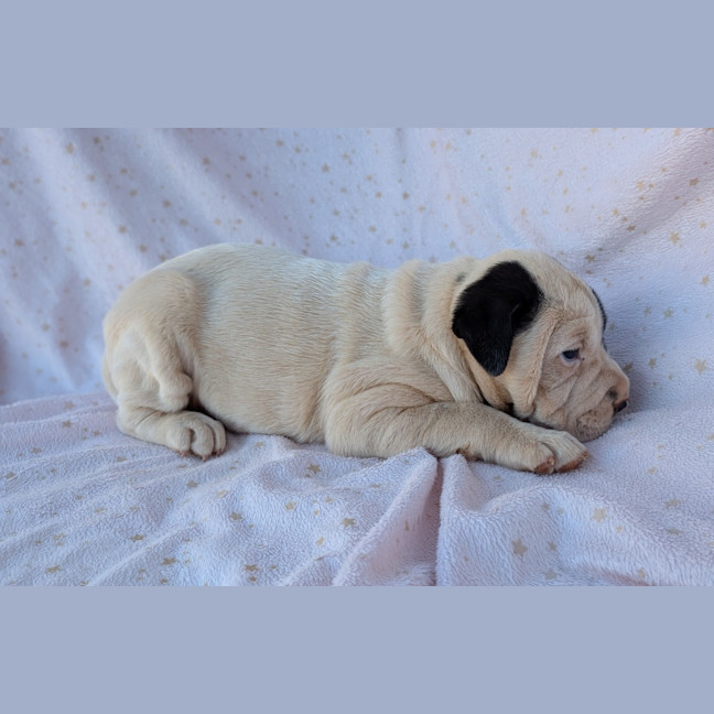 Photo of Blinky