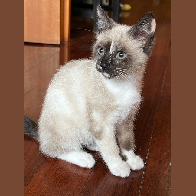 Photo of Riff