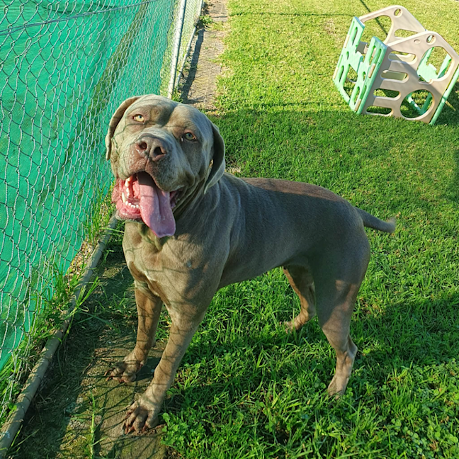 Photo of Luna