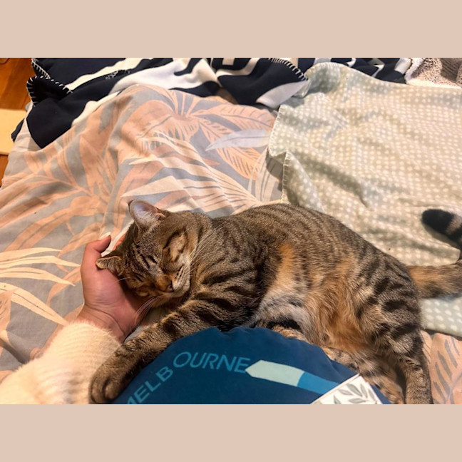 Photo of Lily