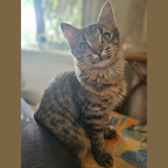 Photo of Kiara