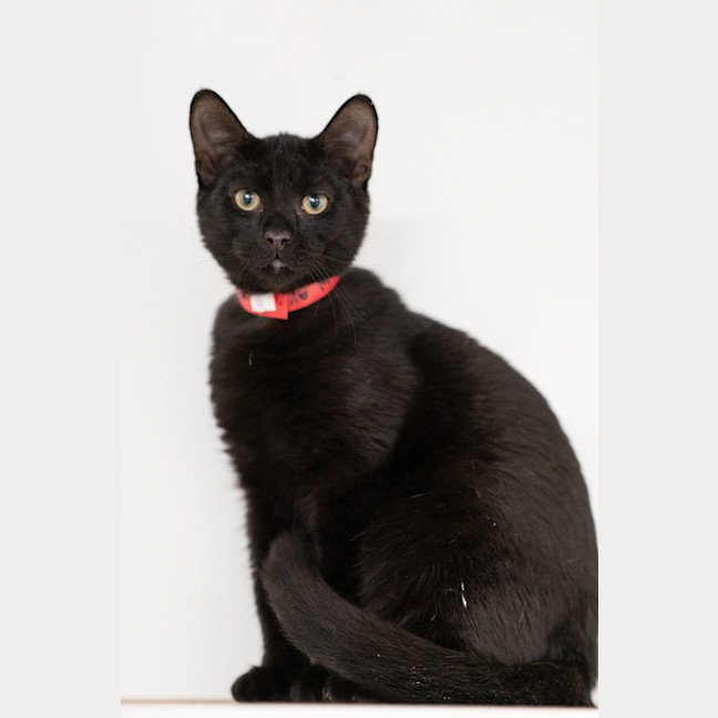 Photo of Storm
