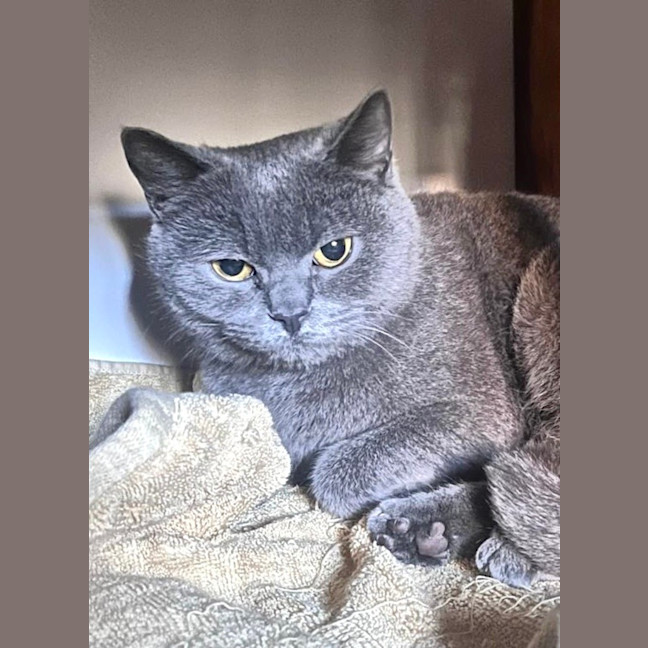 Photo of Miaowzzee