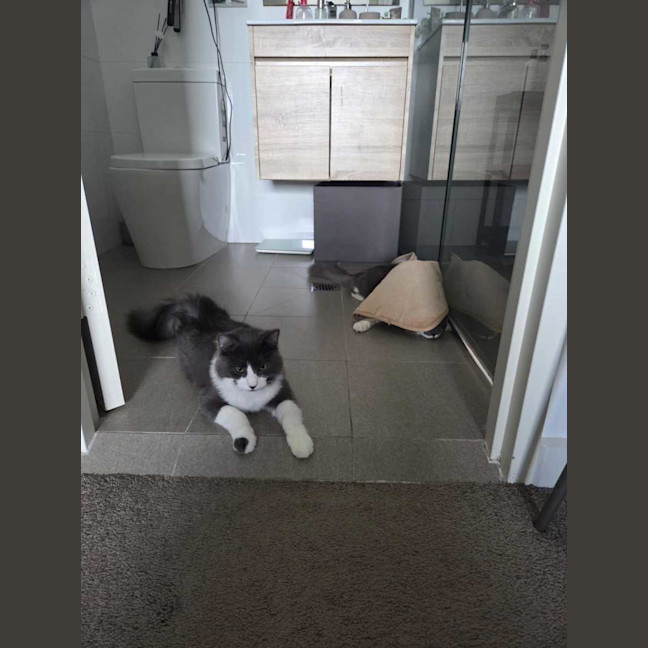 Photo of Yuki