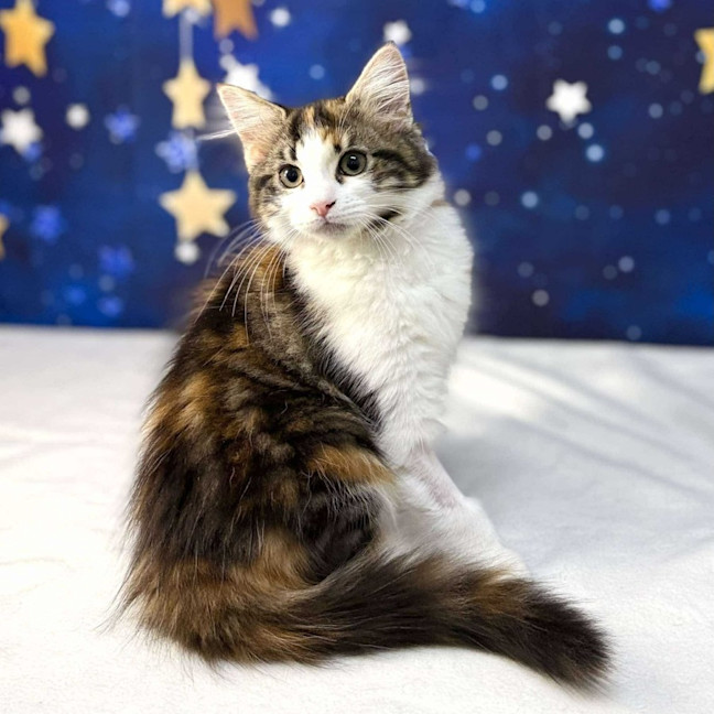 Photo of Florence   Located In Preston