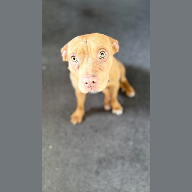 Photo of Kit Kat